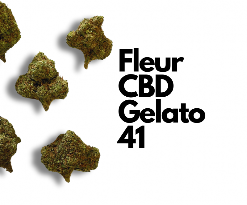 Découvrez dans vos magasins proches de Montpellier la fleur de CBD Gelato #41.